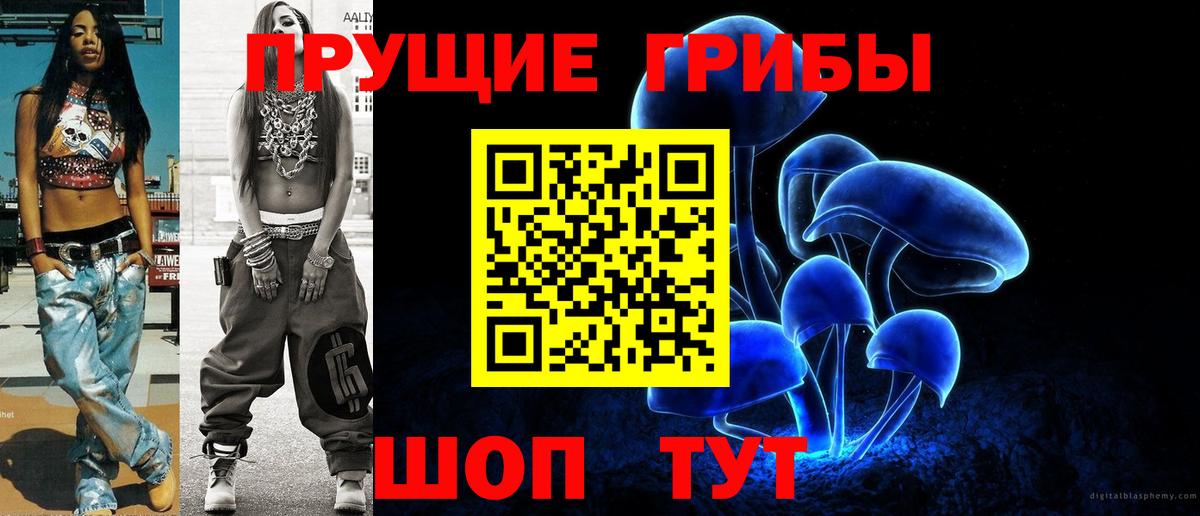 Волхов  Галлюциногенные грибы Psilocybine cubensis  Вход с VPN 