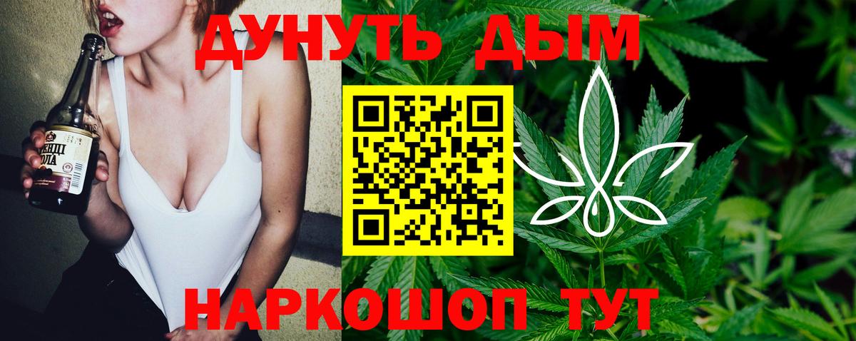 Шишки марихуана конопля  Вход с VPN  Волхов  Бошки марихуана тримм 